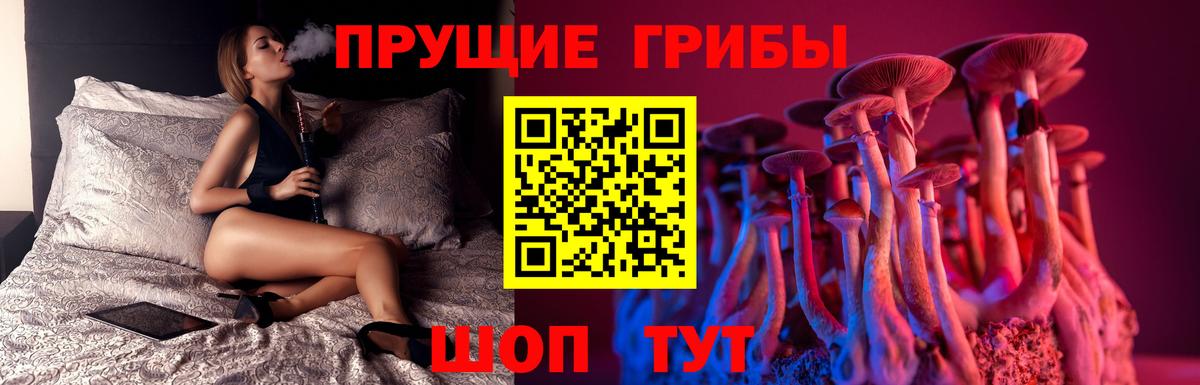 Псилоцибиновые грибы MAGIC MUSHROOMS  Вход с VPN  Бахчисарай 